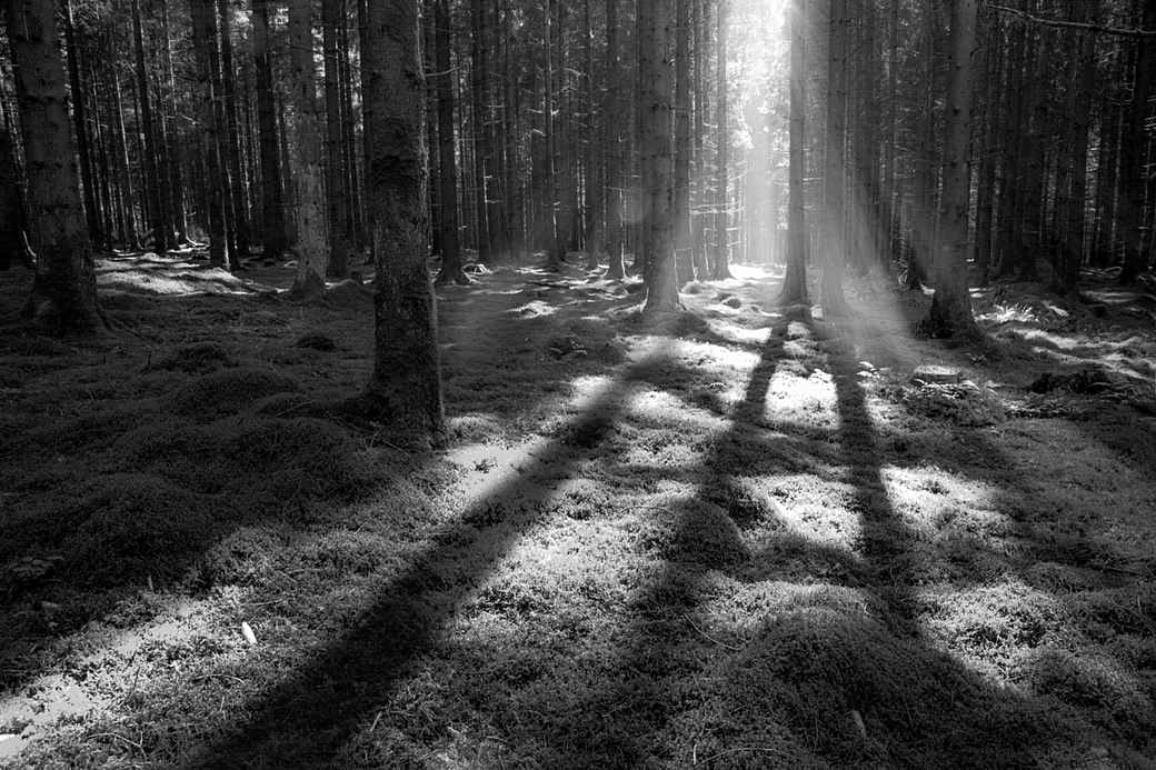 Jay Virnoche’s Black & White collection – Bold, raw, timeless.