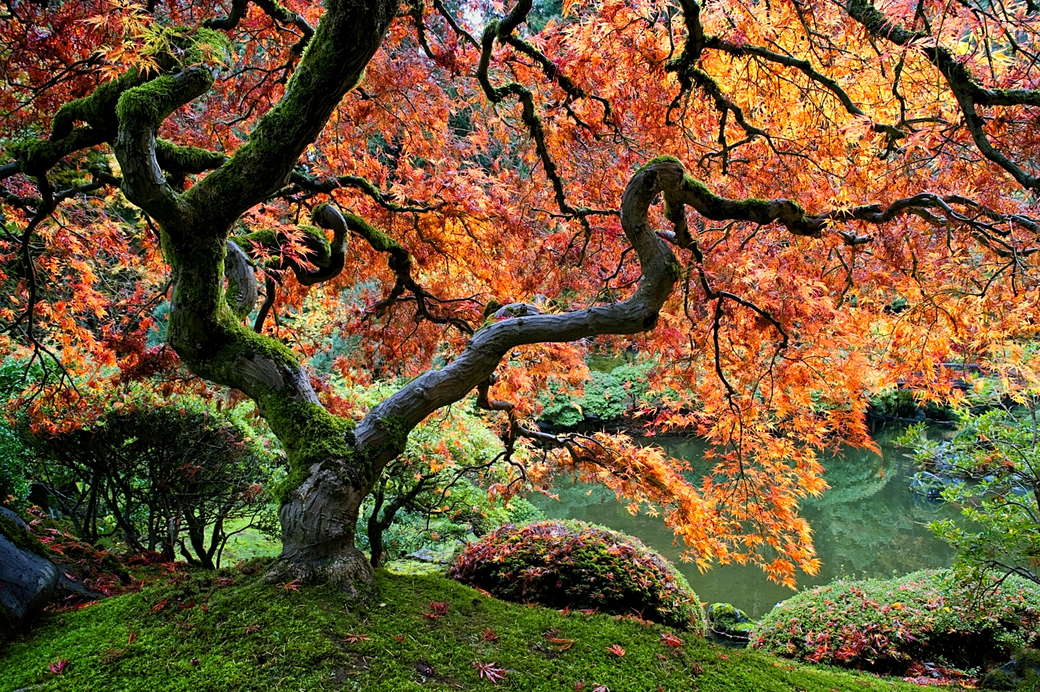 Autumnscapes by Jay Virnoche – Nature’s Fall Palette in Every Frame