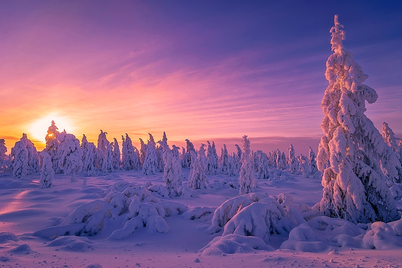 Jay Virnoche’s Winterscapes – Discover the Stillness of Snow