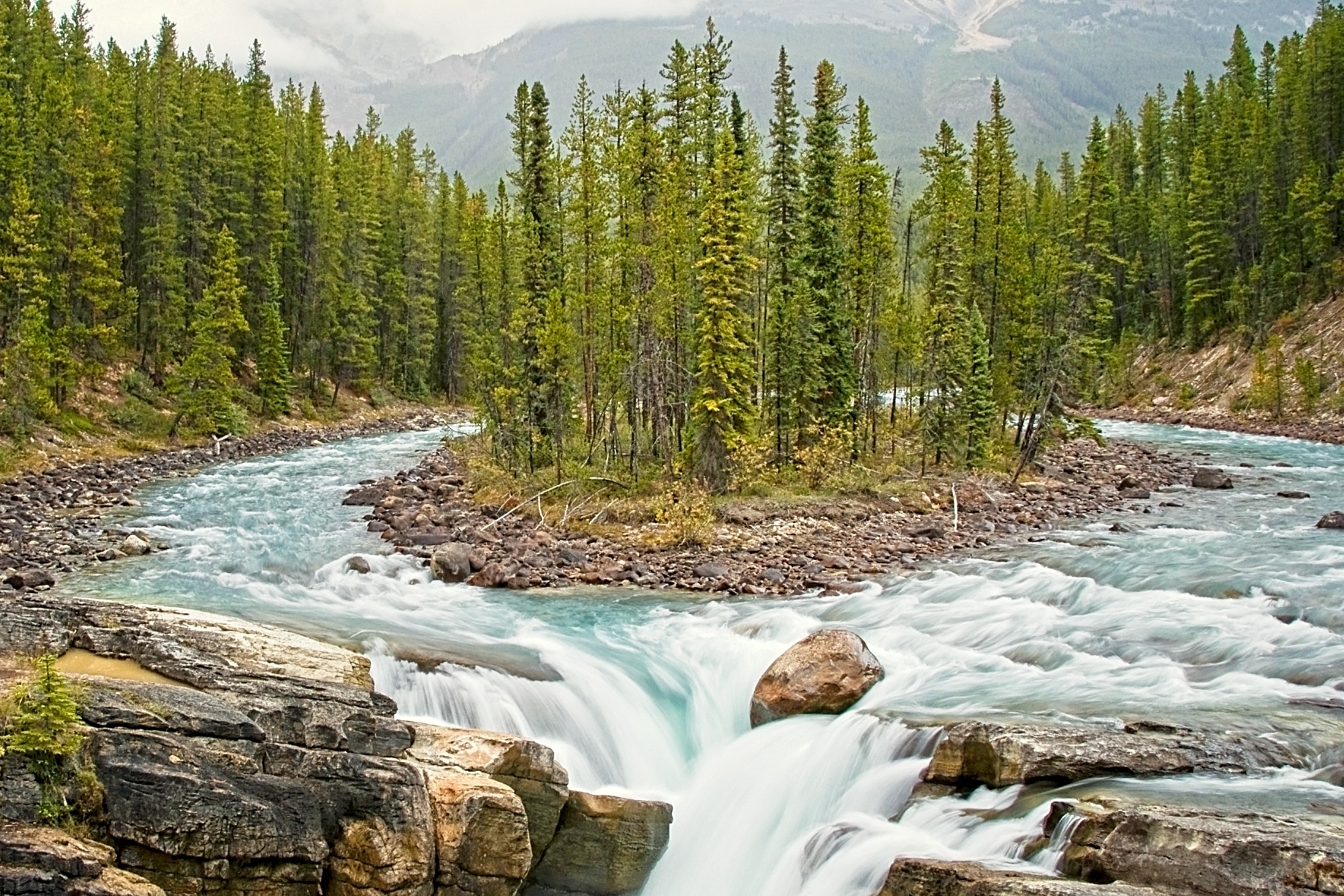 Beating Around the Bush