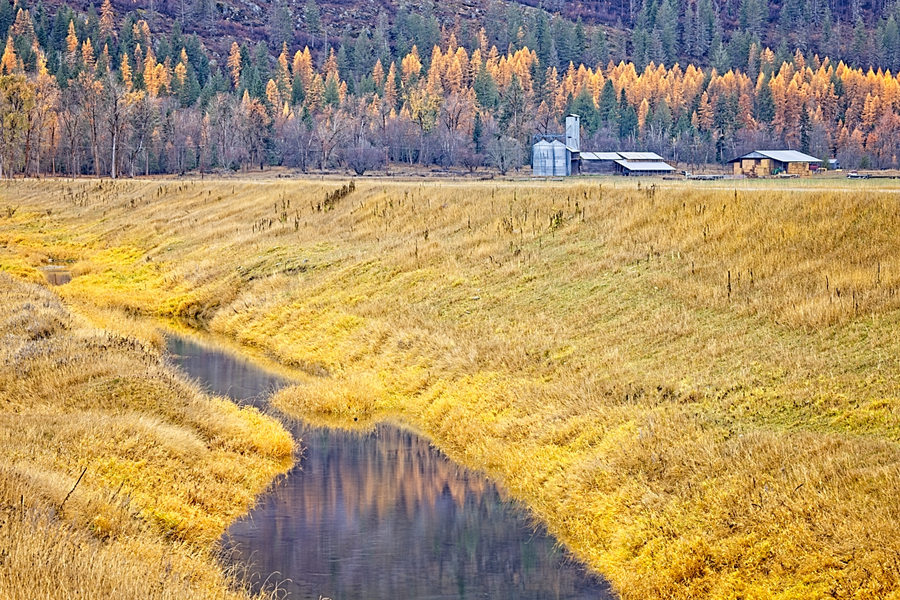 Homestead Reflection